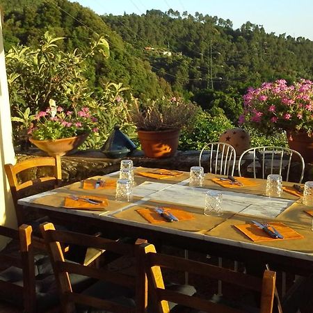 Casa Vacanze Al Settimo Cielo Massa  Eksteriør billede